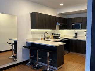 Apartamento Amueblado en Renta, Tipo Loft en Zona 10 - 4