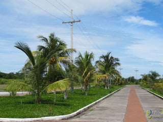 Vendo Terreno Plano en Quintas La Ponderosa, Escuintla! - 4