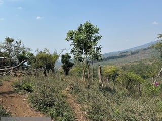 Ideal DESARROLLO/ Terreno en Venta Km 25.5 CES - 2