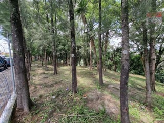 Terreno en Renta para Vivero o Restaurante tipo Pérgola - 4