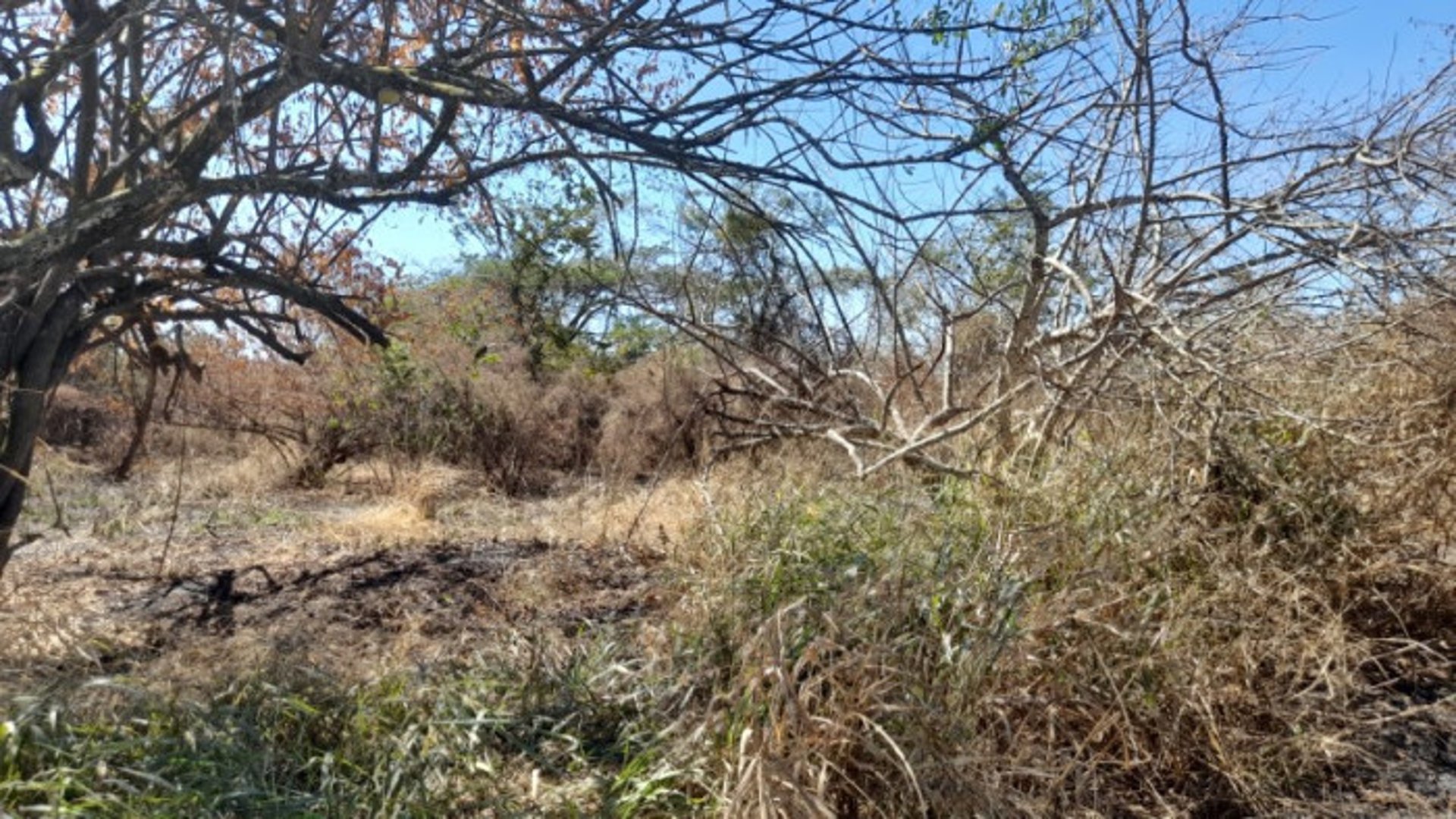 Terreno en Venta Quintas Malibú, Escuintla, Guatemala - Miniatura 4