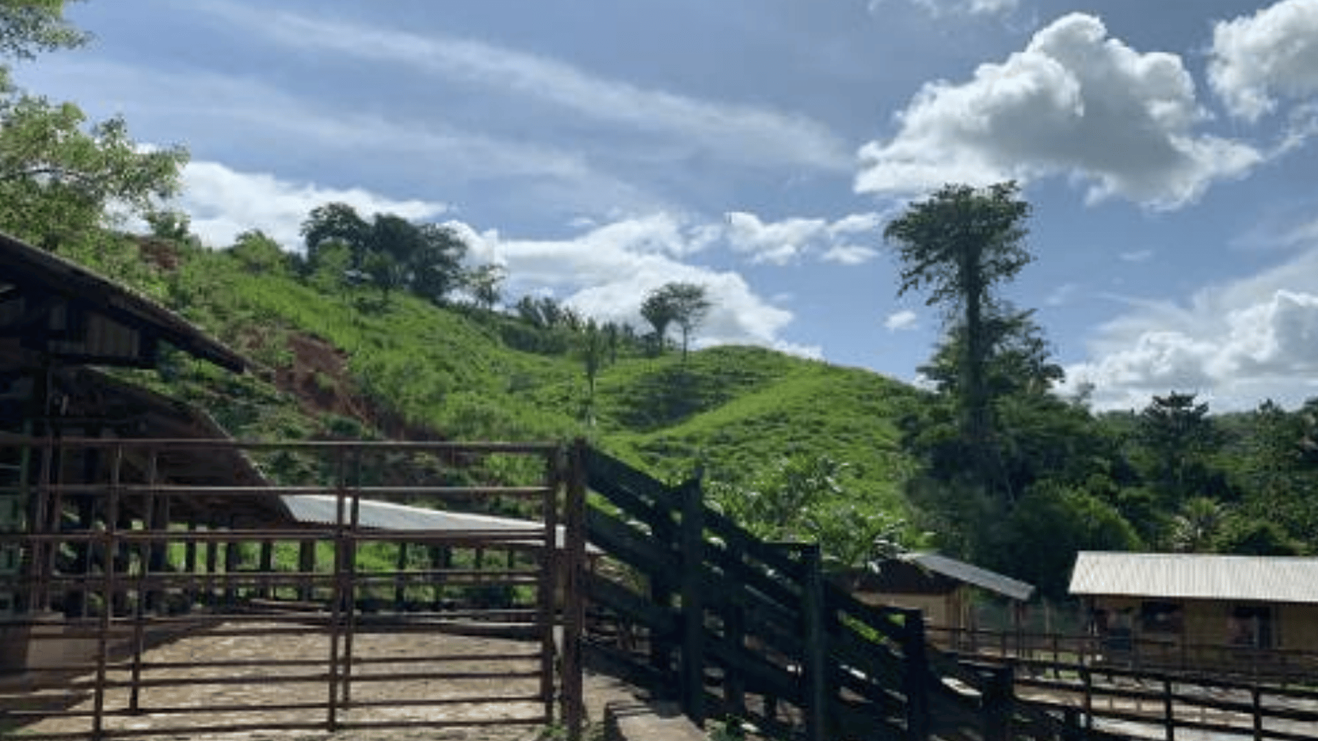 Finca en VENTA en Municipio Nuevo Chahal, Alta Verapaz - Miniatura 12