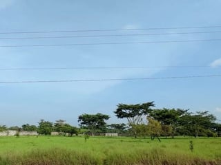 Terreno en VENTA  Parque Industrial en Escuintla - 5
