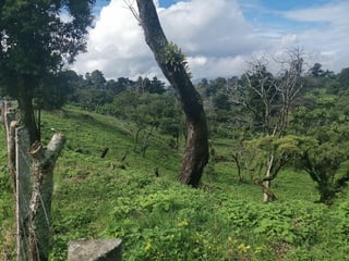 Terreno en Venta sobre Carretera a El Salvador, Km. 26 - 5