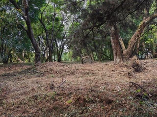 En Venta Terreno en Casa   Campo Guatemala - 3
