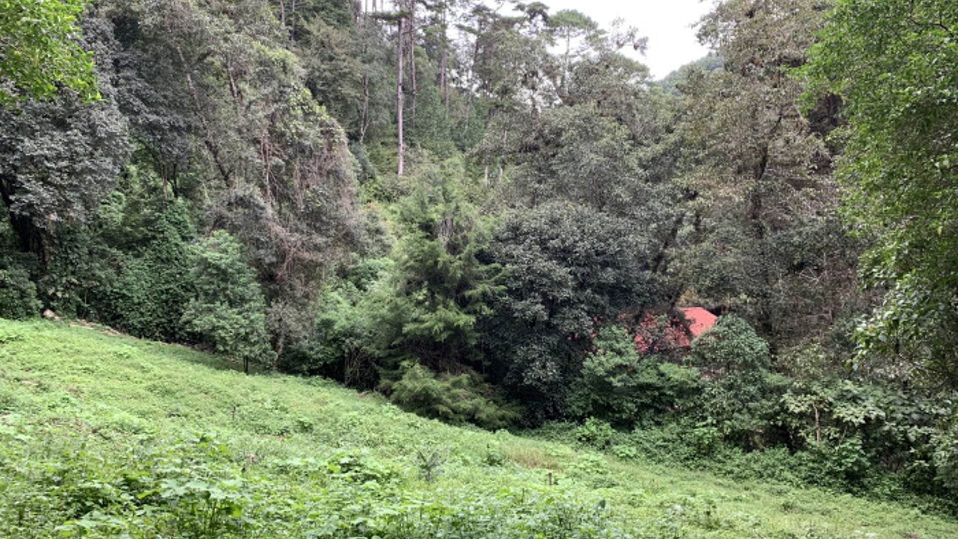 Finca en venta en Santiago Sacatepequez - Miniatura 5