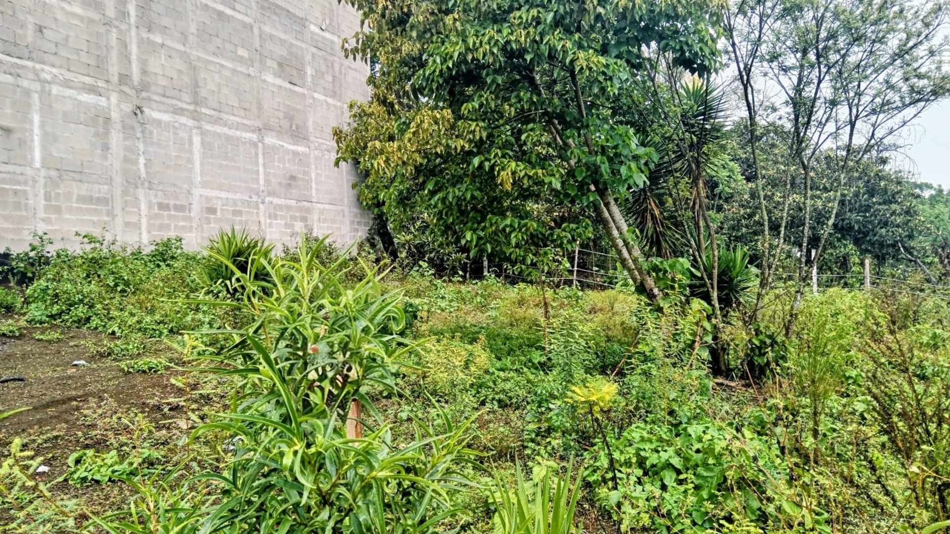 SE VENDE TERRENO SAN MIGUEL ESCOBAR - Miniatura 4