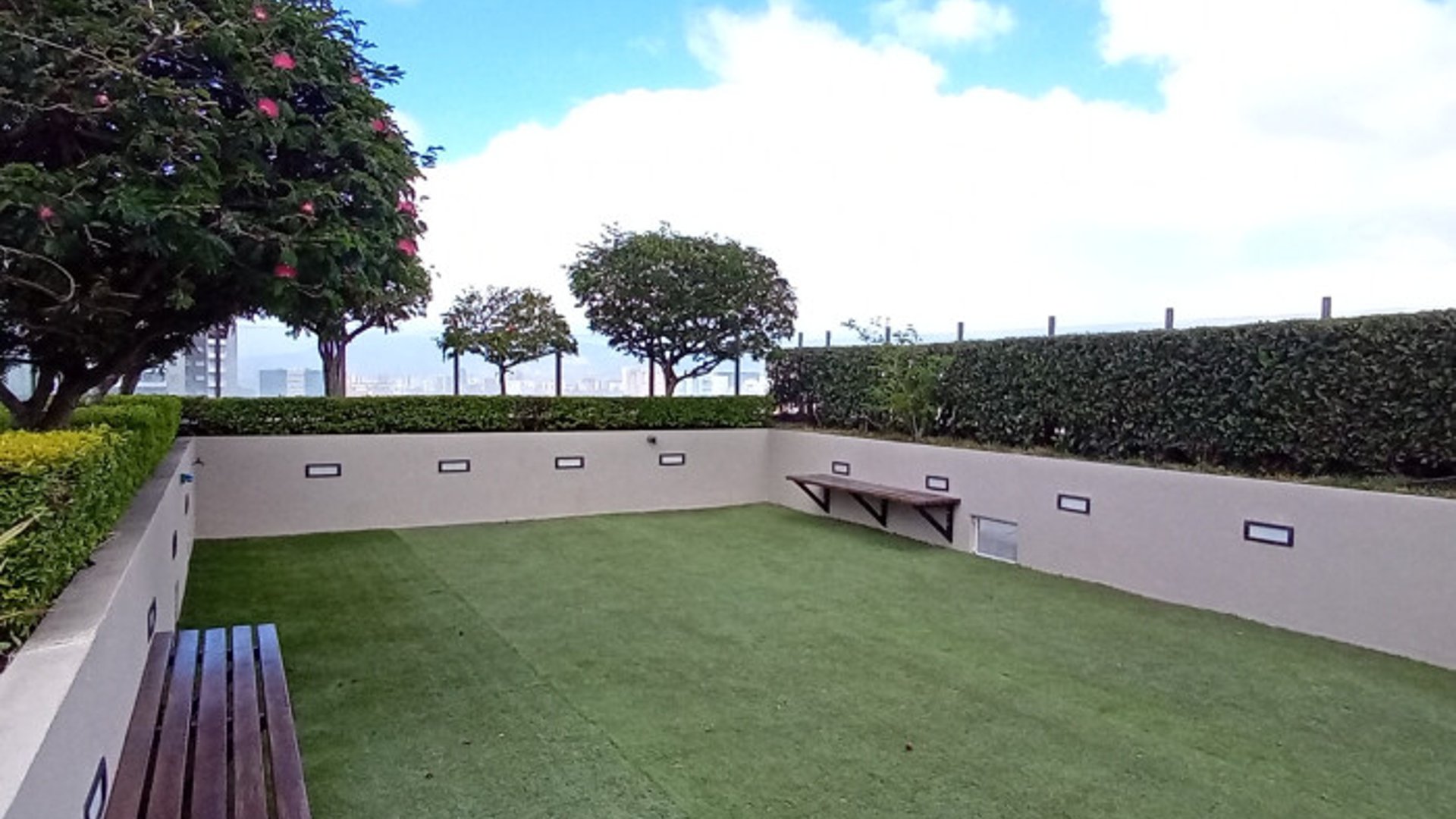 Apartamento en renta en zona 15 - Miniatura 6