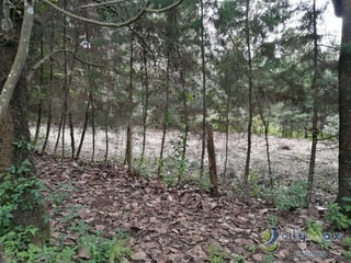 Terreno En Venta, en Santo Domingo Xenacoj - 2