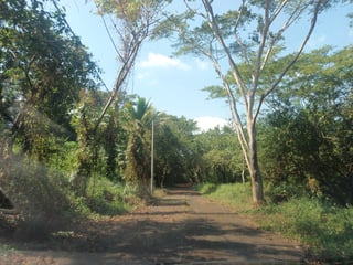 LOTE EN VENTA EN LA CAÑADA DE TORREMOLINOS, ESCUINTLA - 4