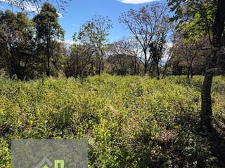Terreno en Venta sobre Carretera a El Salvador – Km 26.5 - 4