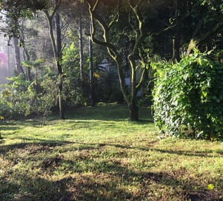 Terreno en venta Colonia trinidad zona 15 Guatemala