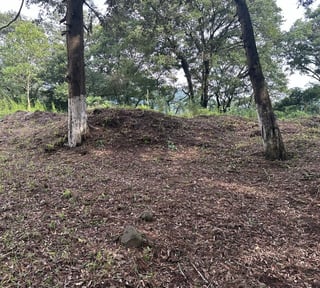 Terreno en Venta Granja Buenos Aires, Fraijanes