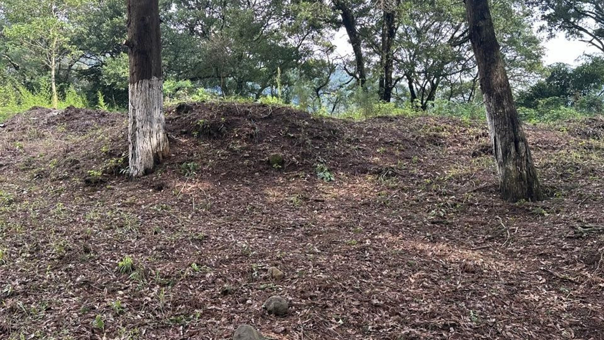 Terreno en Venta Granja Buenos Aires, Fraijanes