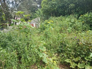 TERRENO EN VENTA EN SAN LUCAS SACATEPEQUEZ - 3