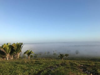 Finca de 4,876 manzanas en Venta en Petén - 3