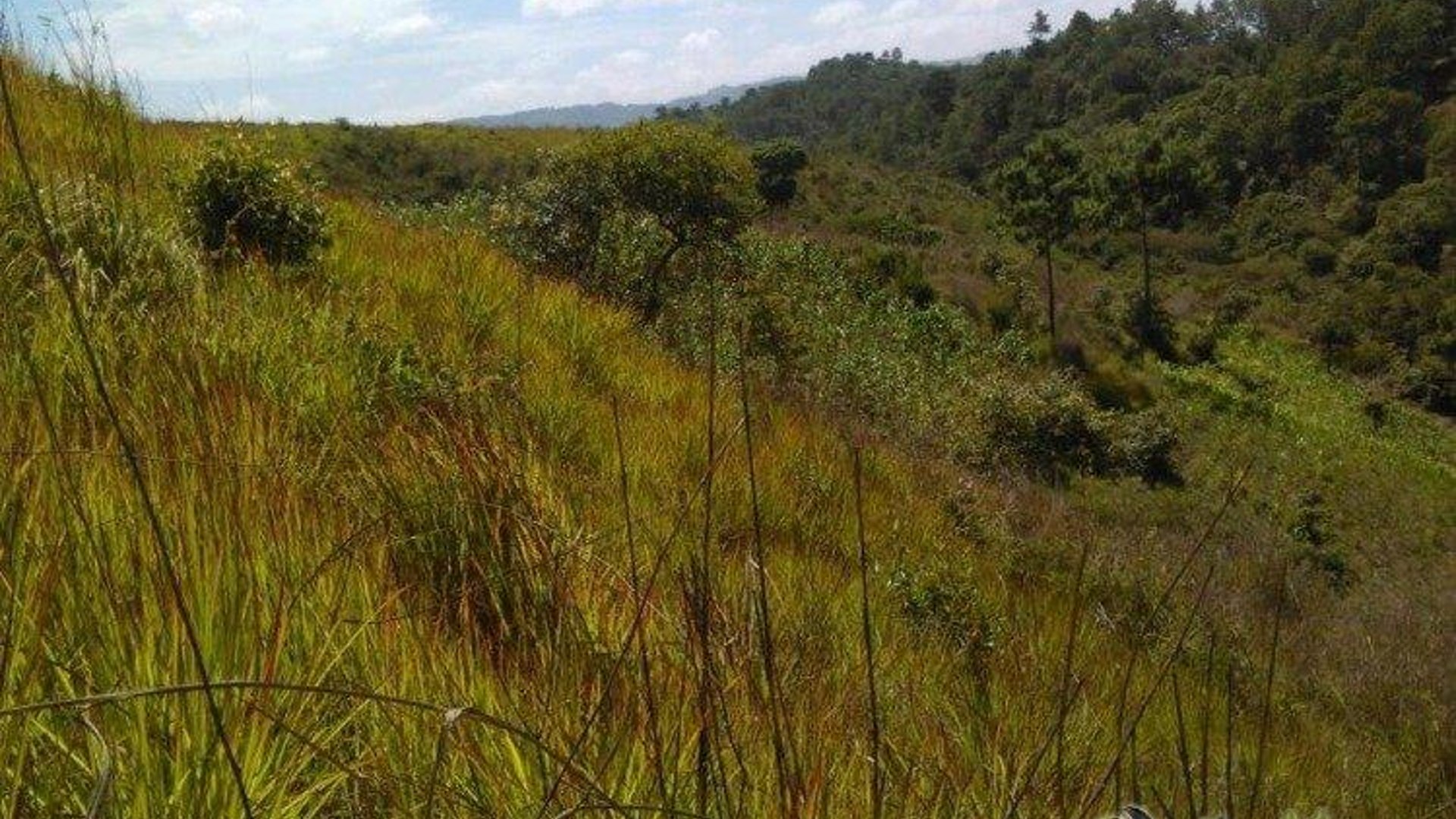 Vendo terreno en San Pedro Sacatepéquez - Miniatura 4
