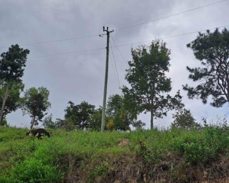 Terreno en venta en San Antonio la Paz el Progreso