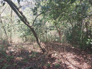 Terreno en venta, en Villa Canales - 4
