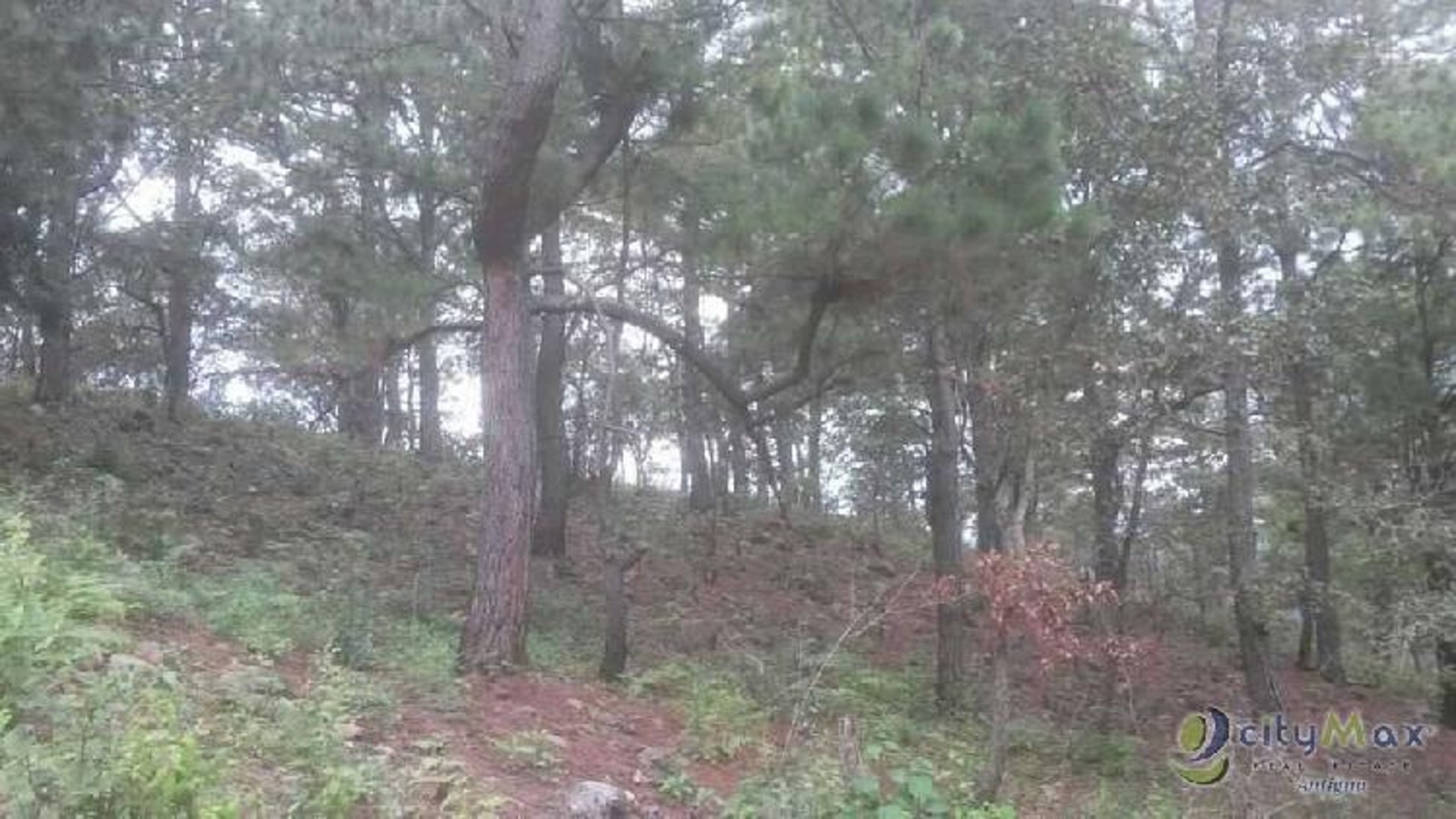 Finca venta cercana Candelaria San Pedro Pinula Jalapa - Miniatura 5