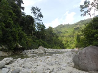 Fincas en VENTA en El estor Izabal y Alta Verapaz - 3
