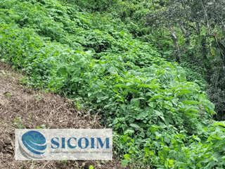 🏡 Land for Sale in Residencial Santa Rosalía La Laguna, Guatemala - Image 3