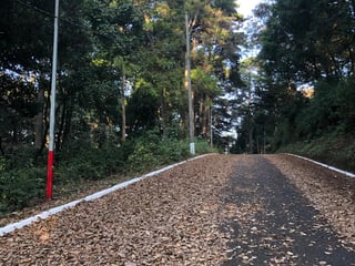 Land for Sale in Condominio Bosque Vivo, San Lucas Sacatepéquez - 1320 m² - USD 80,000 - Image 4