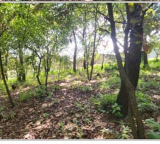 Terreno en Venta sobre Bulevar San Cristóbal