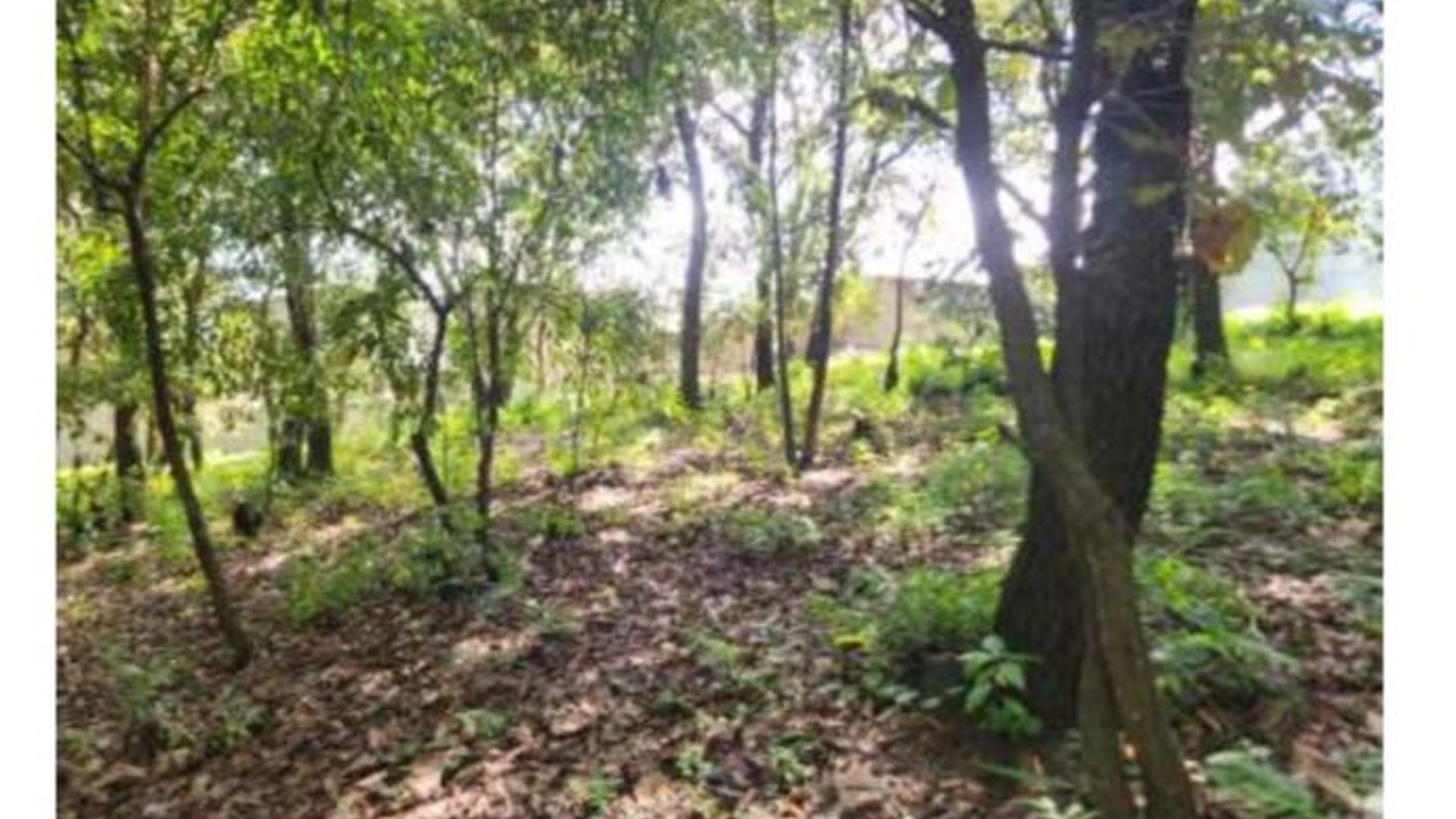 Terreno en Venta sobre Bulevar San Cristóbal
