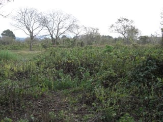 Terreno residencial en venta km. 23 Carr. al Salvador - 2