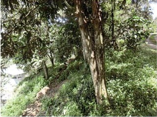 Terreno para desarollo en venta, Santa Catarina Pinula - 4