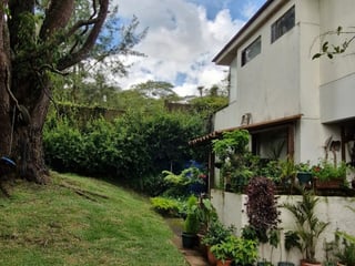 Venta o Renta de Casa - 3