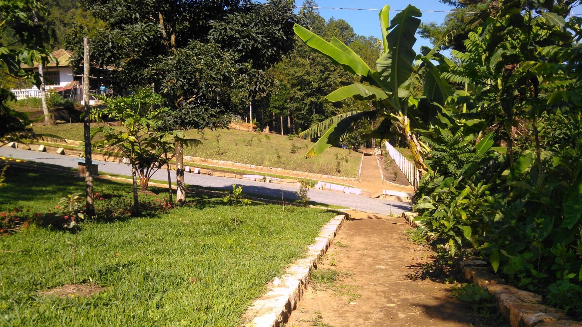 Finca comercial 26 manzanas en Venta en la Verapaces  - Miniatura 49