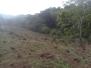 Finca en venta en Oratorio Santa Rosa, Jutiapa  - 4
