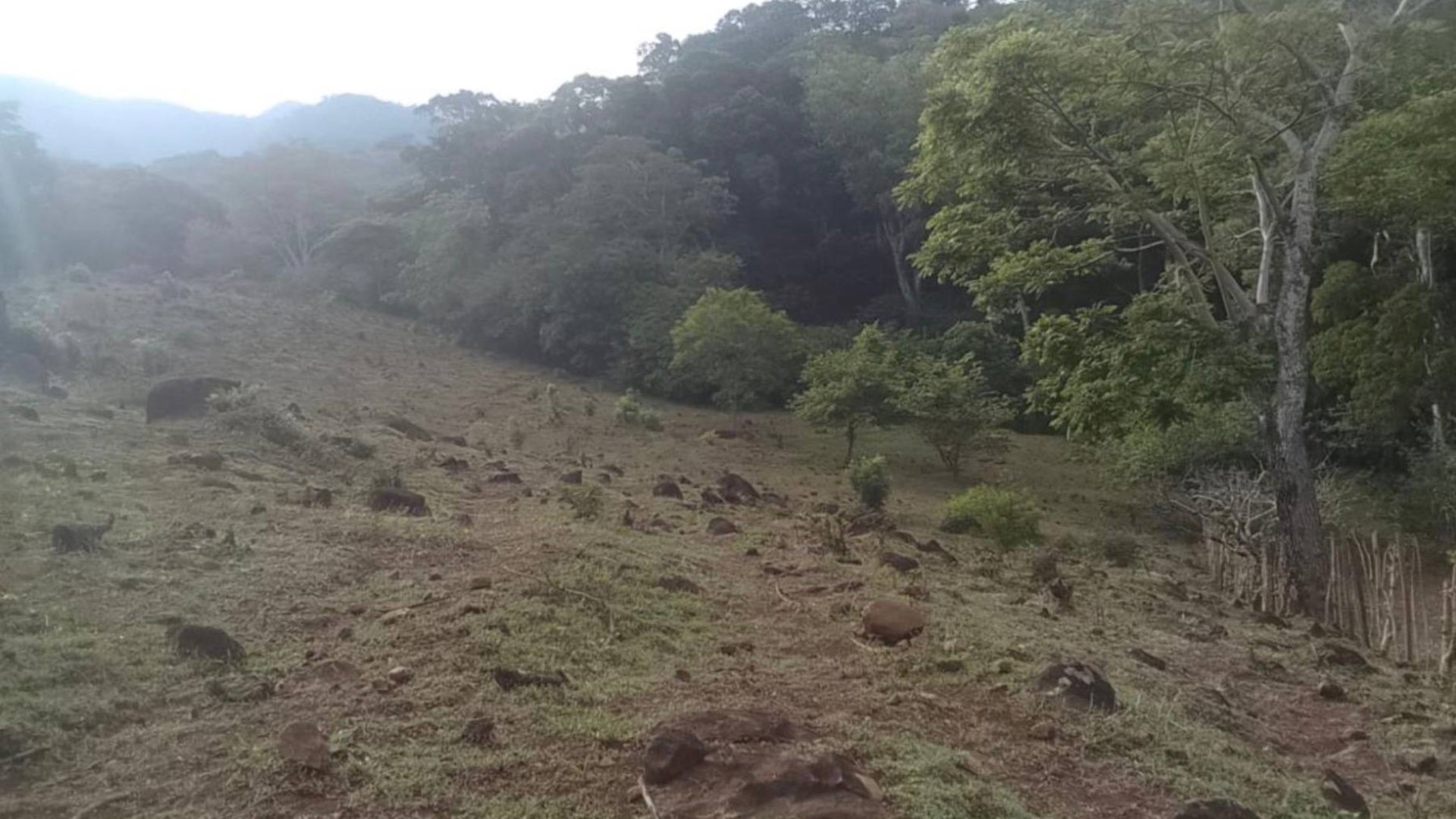 Finca en venta en Oratorio Santa Rosa, Jutiapa  - Miniatura 4