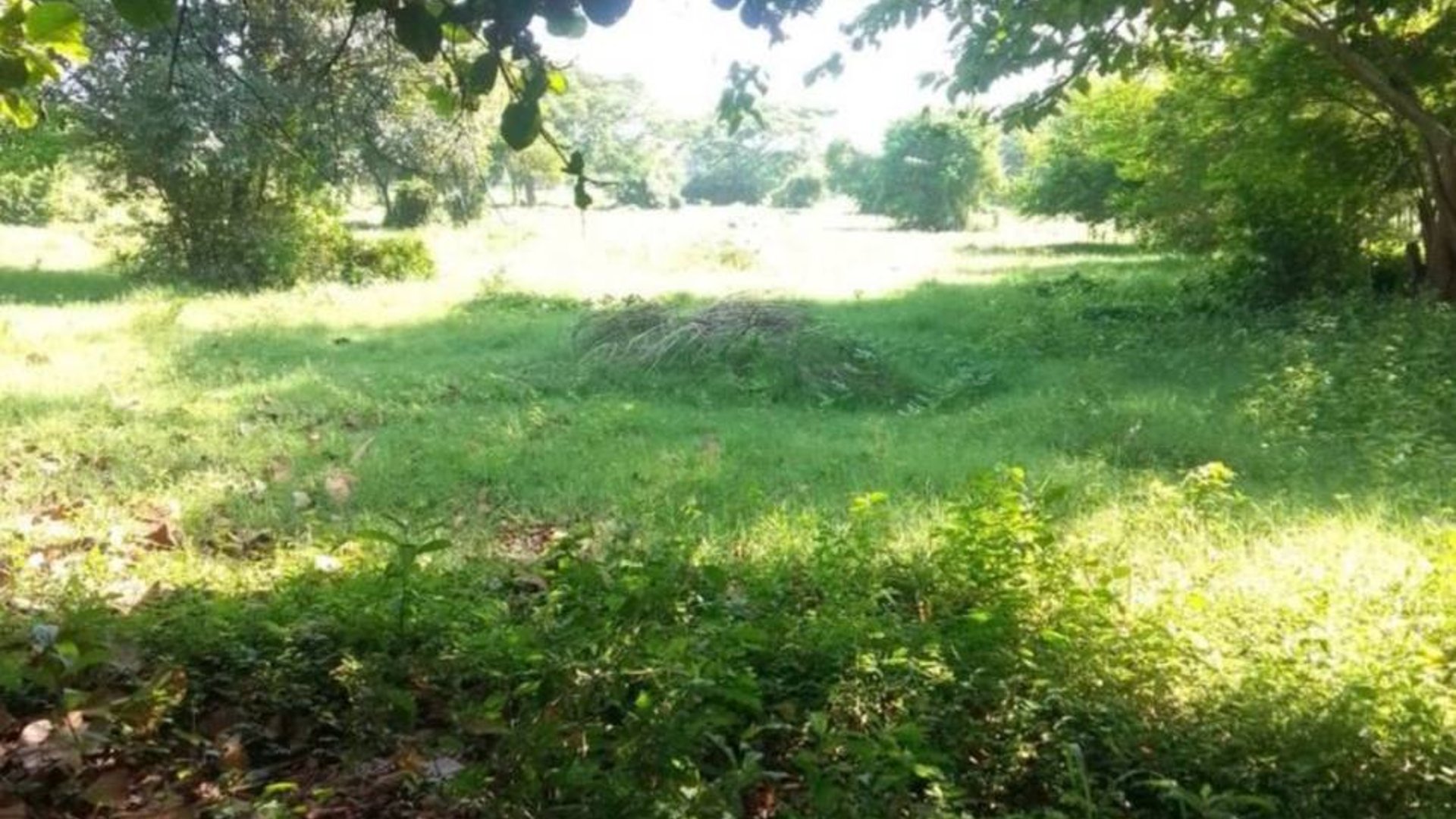 19 Manzanas en venta en Carretera Vieja al Puerto San Jose - Miniatura 6