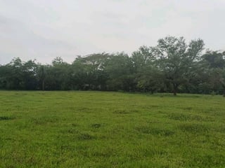 Vendo finca 10 manzanas cerca Calle antigua al Hospital en Escuintla - 2