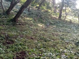 Terreno en venta en CAES  Km 22.5 - 3