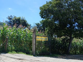 Amplio Terreno rustico en Venta, Sta Lucia Milpas Altas - 3