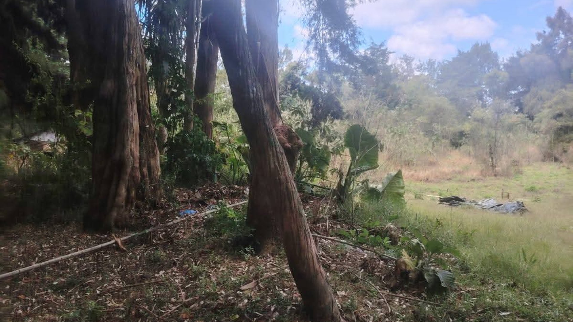 Terreno venta en carretera a Fraiianes - Miniatura 3