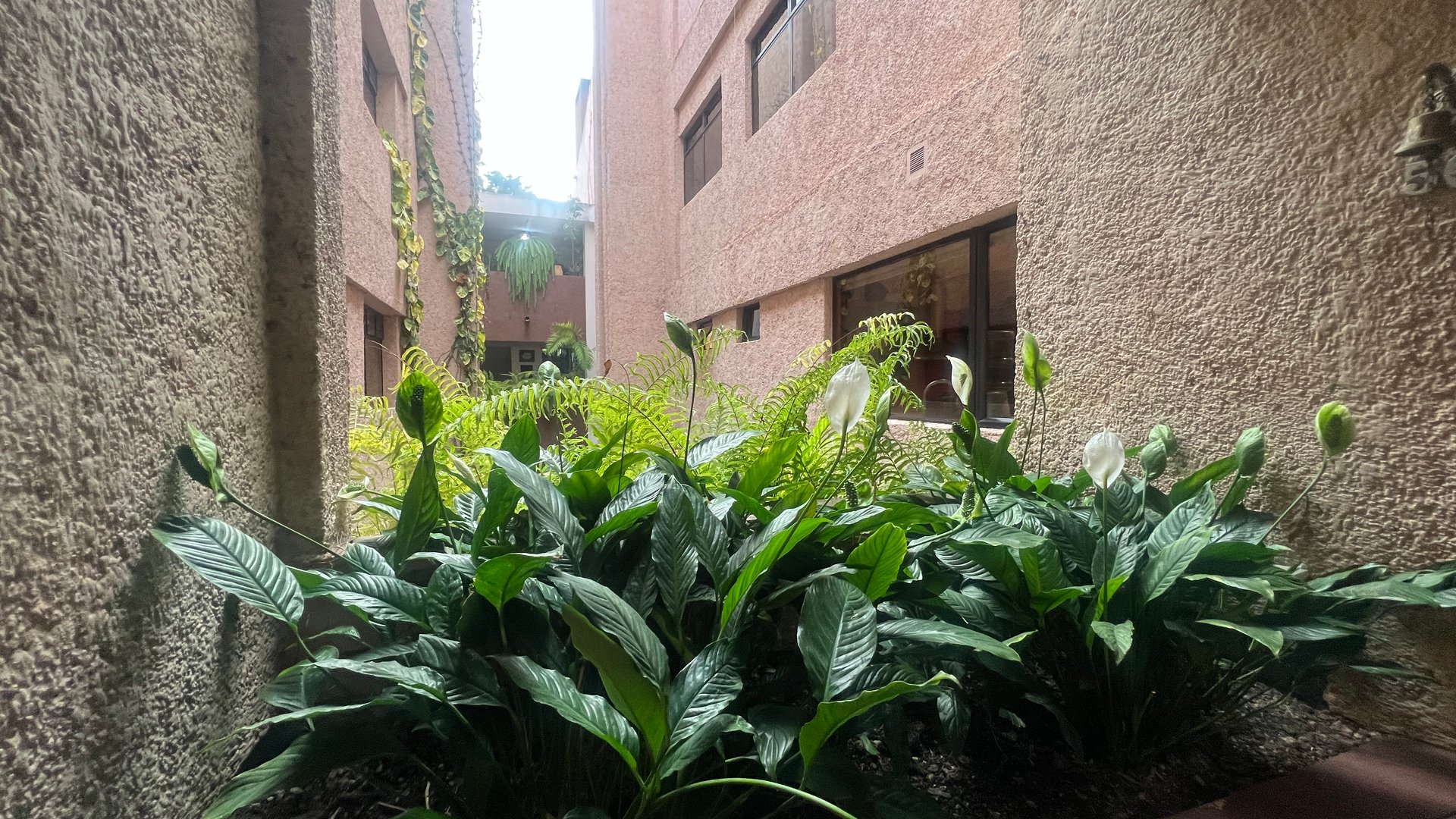 Apartamento en Renta, Zona 15 (R10381) - Miniatura 14