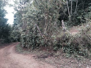 TERRENO EN VENTA EN EL PLATANAR, SAN JOSE PINULA - 2