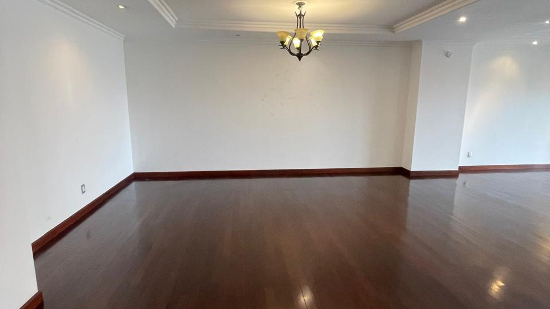 EDIFICIO TADEUS ZONA 14 APARTAMENTO EN RENTA 2 HABITACIONES - Miniatura 2