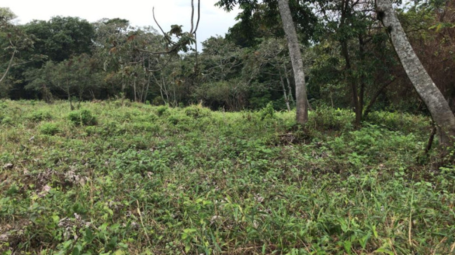 TERRENO EN VENTA CAMPO AVENTURA PALIN ESCUINTLA - Miniatura 11