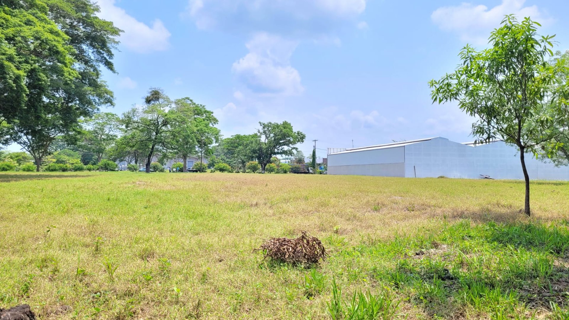 VENTA Terreno Industrial para Bodega Km 67.5 a Taxisco - Miniatura 4