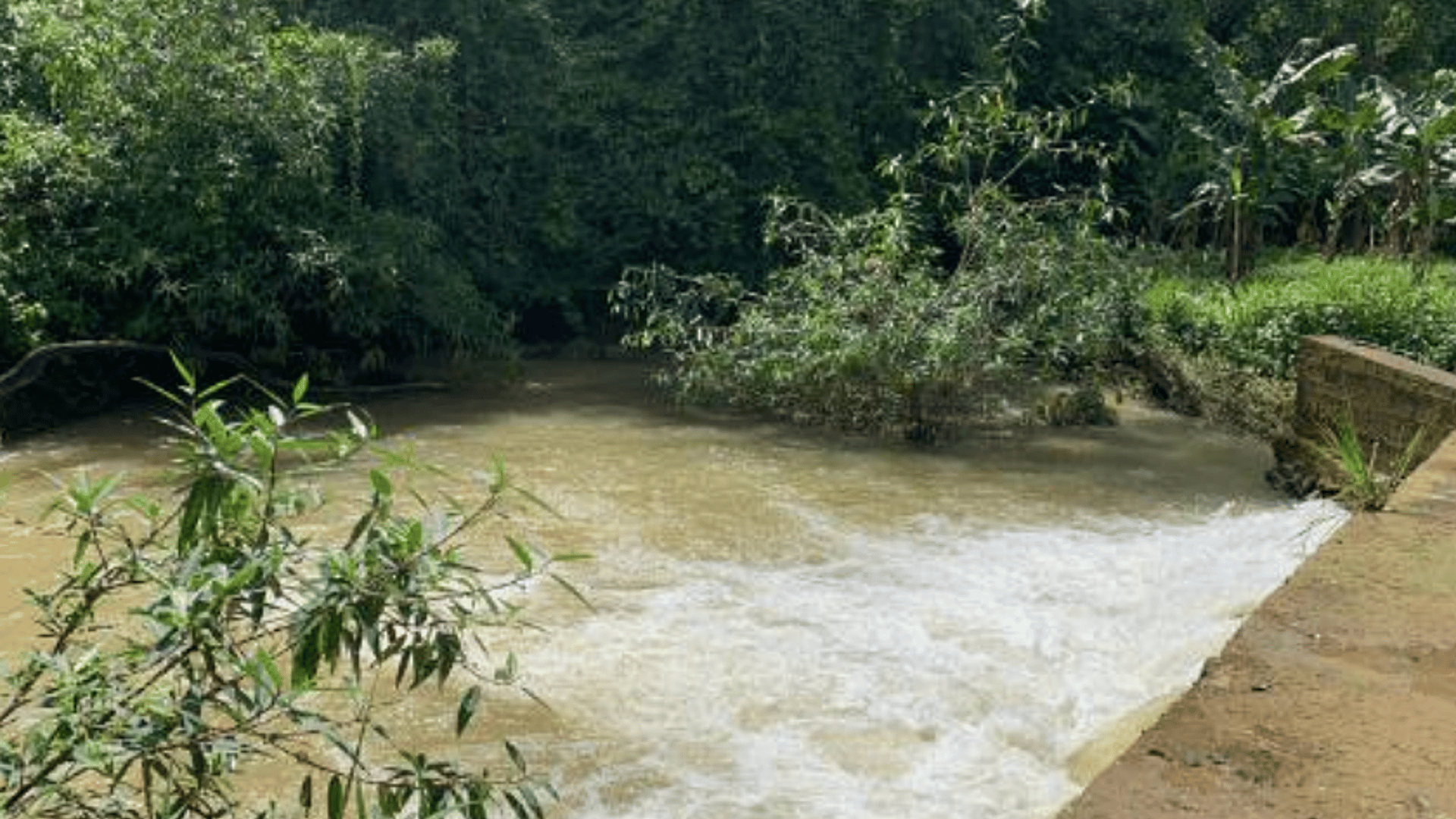 Finca en VENTA en  Municipio Nuevo Chahal, Alta Verapaz - Miniatura 5