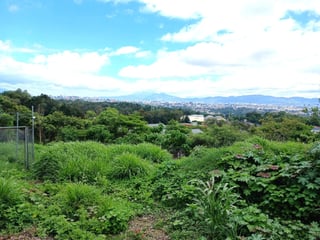 Terreno Residencial en Venta en Zona 17 - 2