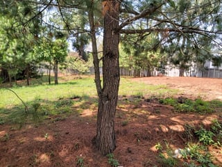 Terreno en VENTA en Zona 16, Peña Dorada - 5