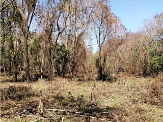 TERRENO EN VENTA EN EL KM 26.5 CARRETERA A SANTA ELENA BARILLAS - 3