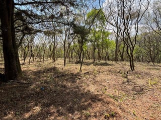 Venta de Terrenos en Condominio Casa & Campo - 3